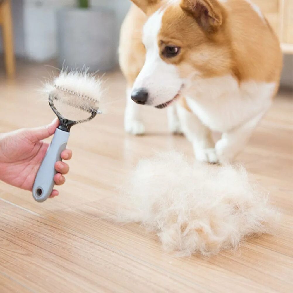 Pet cleaning. Щетка для вычесывания шерсти Джек Рассел. Вычесывание Джек Рассела фурминатором. Расческа для вычесывания шерсти у Джек Рассела. Собаку расчесывают.