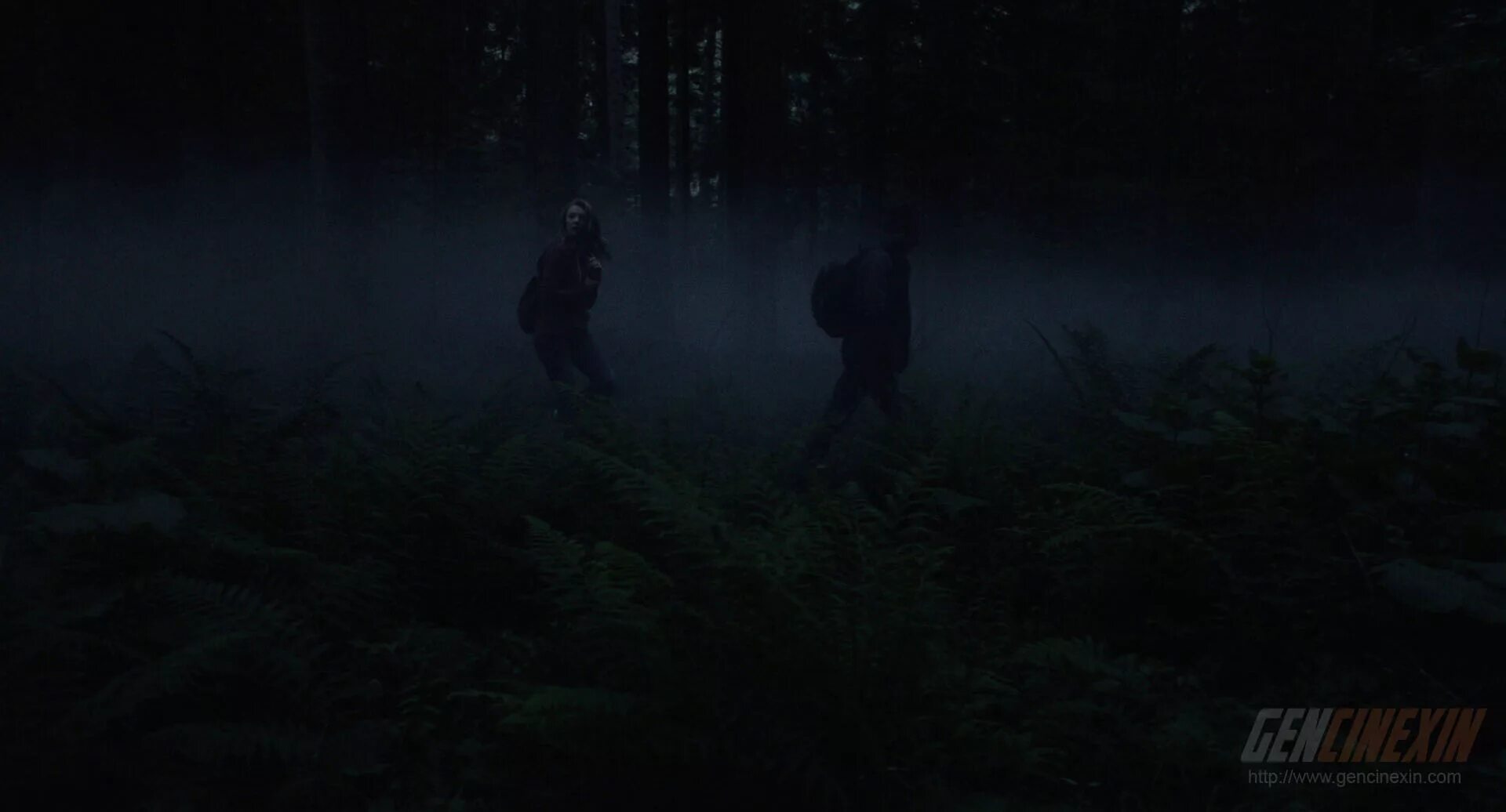 Лес призраков сатор 2021. Страшный лес с привидениями. Лесной призрак. Лес призраков сатор. Фантом леса.