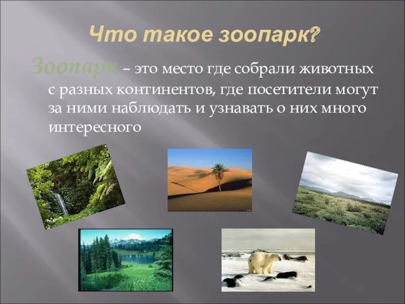 Проект 3 класс зоопарк Берлинский зоопарк проект