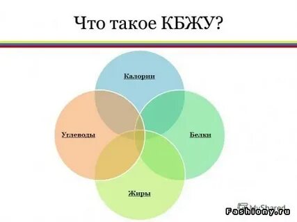 Кбжу что это такое