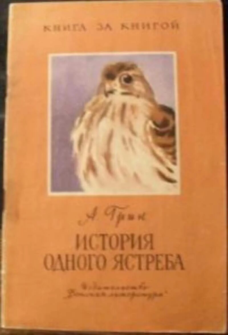 Почему грин изменил концовку история одного ястреба. История одного ястреба. история одного ястреба грин. иллюстрация к история одного ястреба грин.