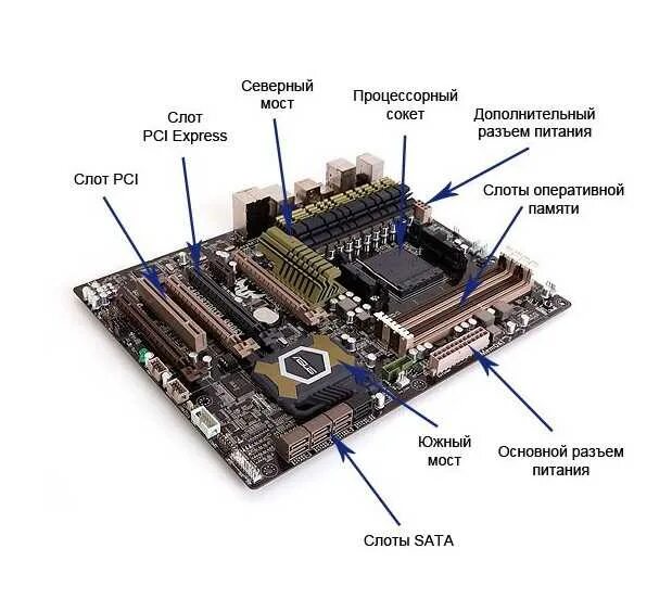 Северный и Южный мост на материнской плате схема. Основные элементы мат платы. Материнская плата Южный мост. Основные элементы системной платы ASUS. Основные платы пк