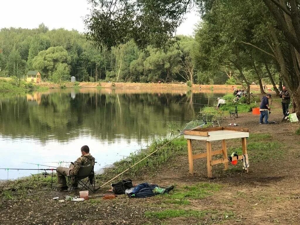 Платная рыбалка в московском районе. Платный пруд в юсупово домодедовский район. рыбалка в юсупово домодедовский район. юсупово домодедовский район. платная рыбалка домодедовский район московская.