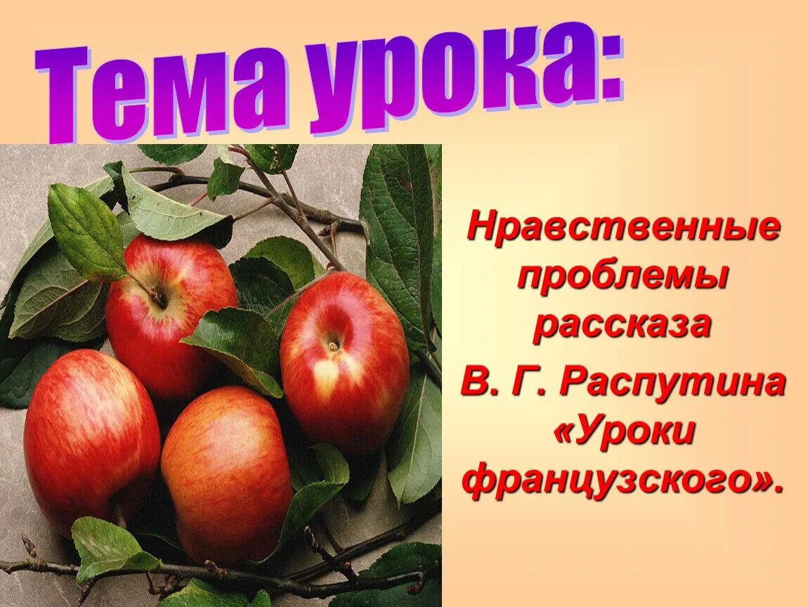 Главная проблема уроки французского. Нравственные уроки уроки французского. Уроки французского нравственная проблематика. Проблемы в рассказе уроки французского. Равственная проблематика рассказа «уроки французского».