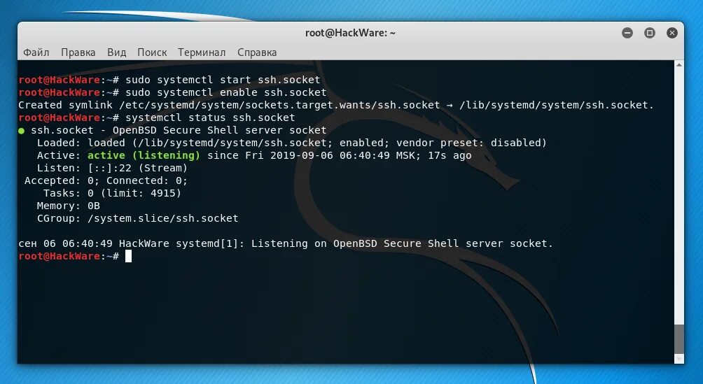 Systemctl start. Как подключиться по SSH Linux. SSH узнать IP. Kali Linux. Kali Linux информация по IP.