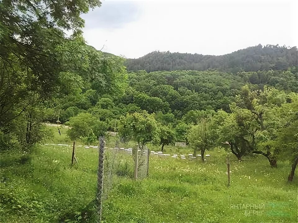 Погода счастливое бахчисарайский. Счастливое Бахчисарайский район. Село счастливое Крым. Бахчисарайский р.н село счастливое. Поселок счастливое Бахчисарайский район.