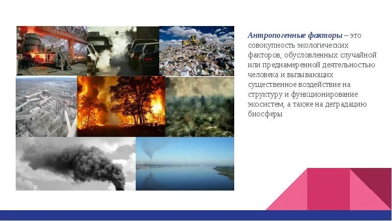 Примером антропогенного фактора является. Антропогенные факторы. факторы антропогенного воздействия на окружающую среду. антропогенные факторы окружающей среды. глобальное антропогенное влияние.