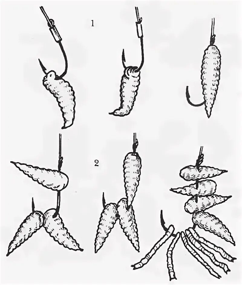 Как правильно насаживать опарыша на крючок. Правильная насадка опарыша на мормышку. Правильно насаживать опарыша на крючок. Как насаживать опарыша. Как насаживать опарыша на крючок для карася.