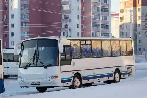 Уфа пермь автобус