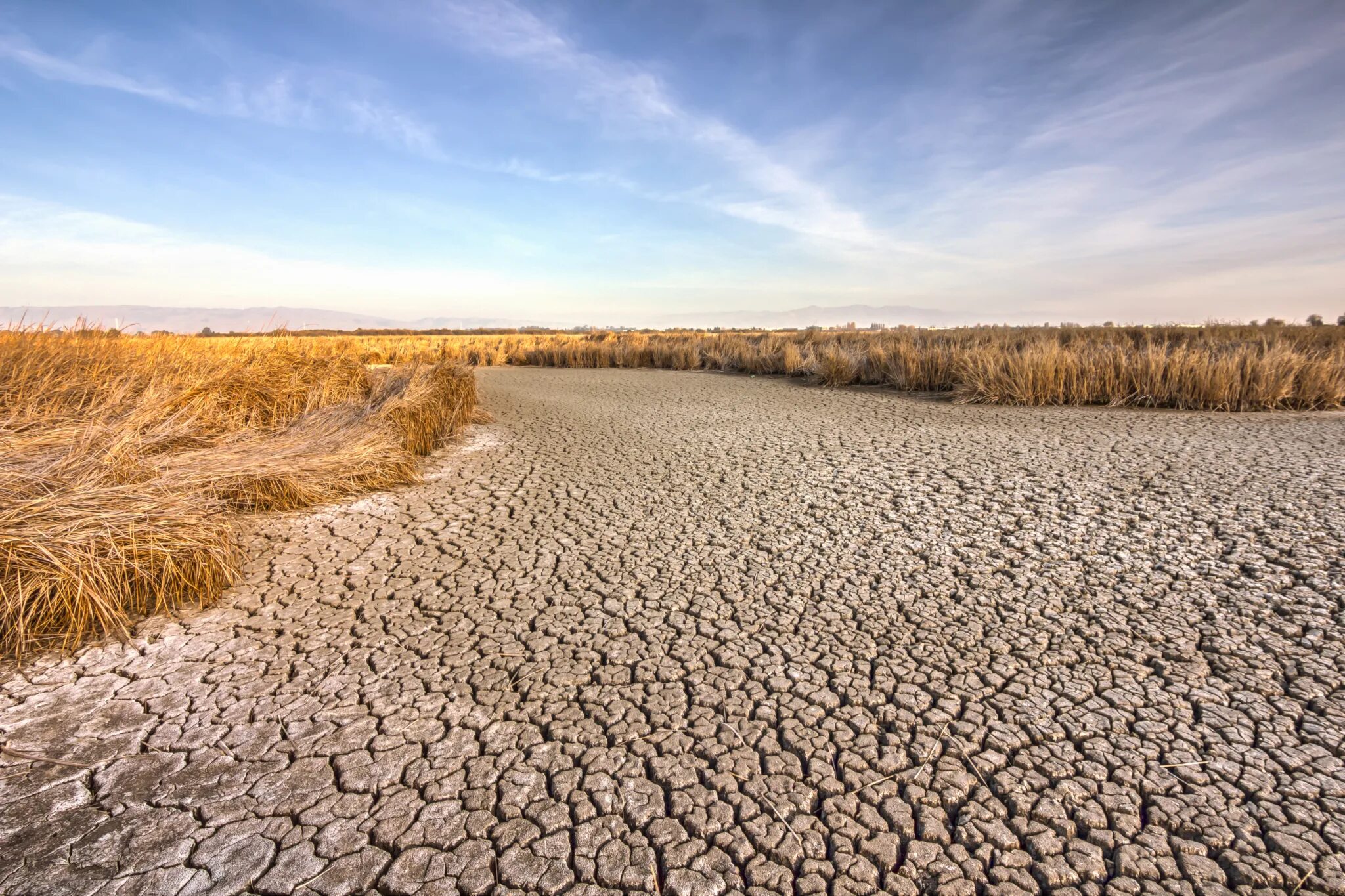 Засуха русский. Засуха в Казахстане. Сухая земля. Пустынные почвы. Засуха в природе.