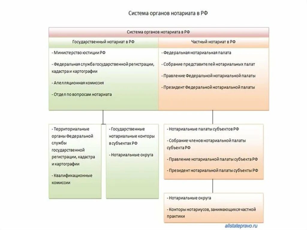 Конторы нотариусов занимающихся частной практикой. Гос регулирования нотариальной деятельности. Полномочия правления нотариальной палаты. Модель работы нотариальной конторы. Правовое положение нотариальных палат.