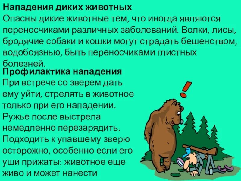 Опасное нападение. Памятка как вести себя при встрече с дикими животными. Опасность диких животных. Опасности при встрече с дикими животными. Дикие животные в лесу опасности.