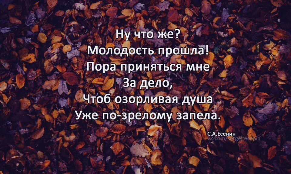 Где мои юности года