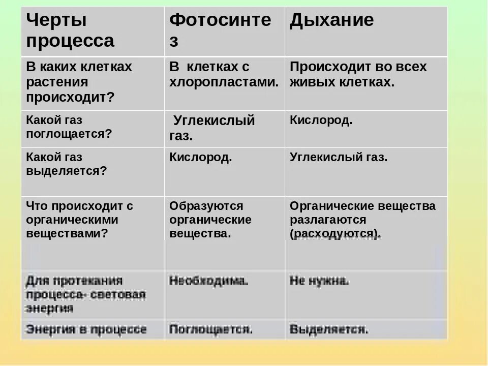 Таблица фотосинтез и дыхание растений 6 класс. Где происходит процесс дыхания у растений. В каких клетках происходит дыхание растений. Дыхательный процесс в клетках растений. Признаки процесса дыхания у растений.