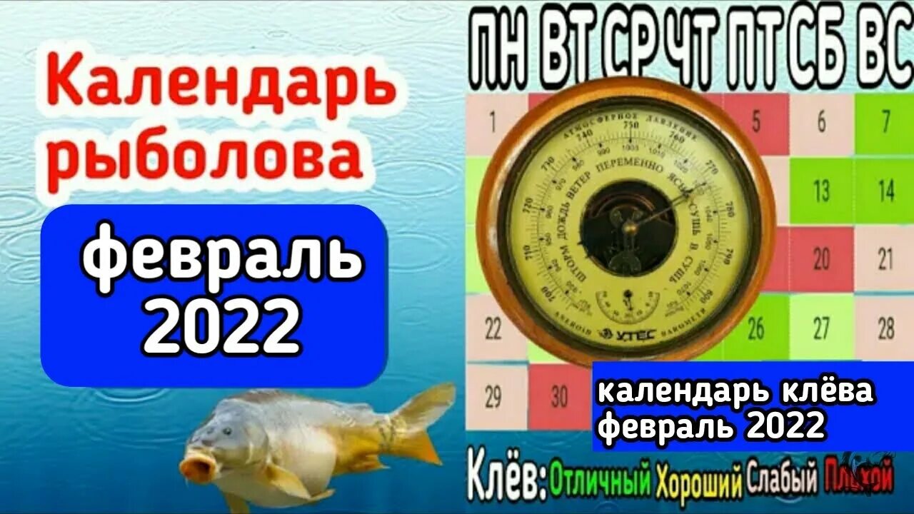 Календарь рыболова. Рыболовный календарь на 2022. Календарь рыболова 2022. Рыболовный календарь на февраль 2022 года.