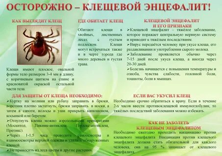 Укус энцефалит клеща ребенка