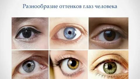 Цвет глаза зависит от пигмента