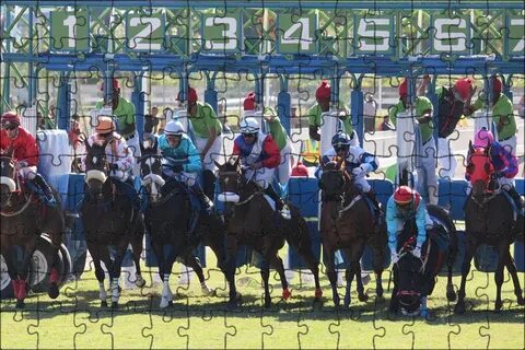 Live horse racing