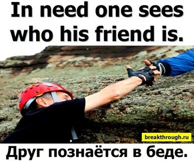 Выражение друг познается в беде