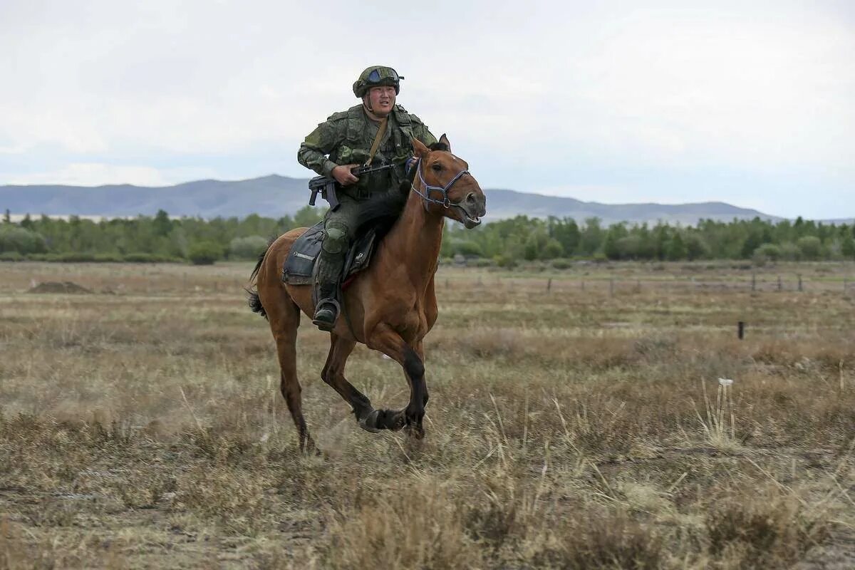 Федерация коне. Военная лошадь. Боевая лошадь. Российские военные на лошади. Монгольские военные на конях.