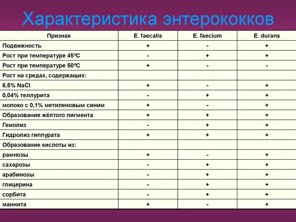 Enterococcus faecalis лечение