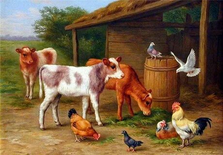 Куры коровы