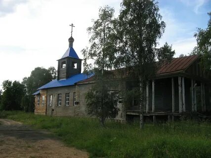 Березник вологодской