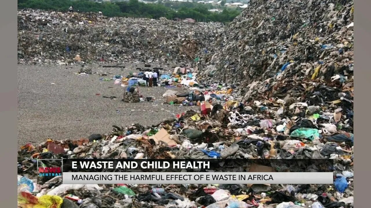 1 is very harmful to the environment