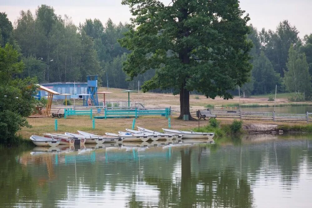 Экопарк авангард электросталь. Авангард парк электросталь беседки. Авангард электросталь питомник. Пляж авангард электросталь. Парк авангард детская площадка.