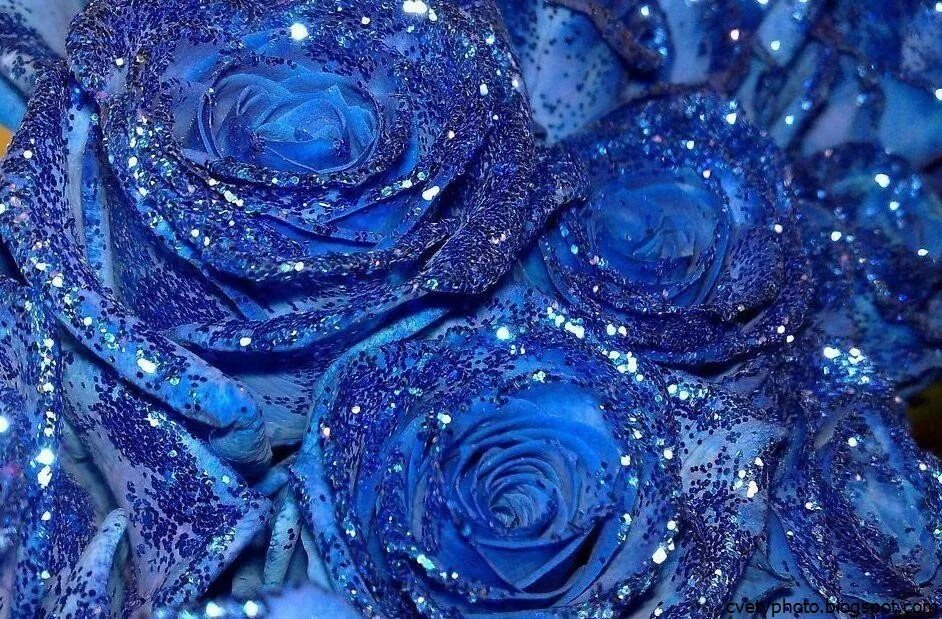Цветы с блестками. Розы с блестками. Синие цветы с блестками.