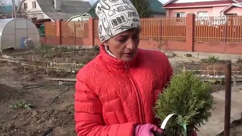 Посадка мир
