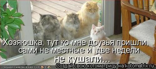 Папа не отпускает гулять. Папа отпусти гулять. отпустили погулять. мама отпусти погулять. отпустите меня погулять.
