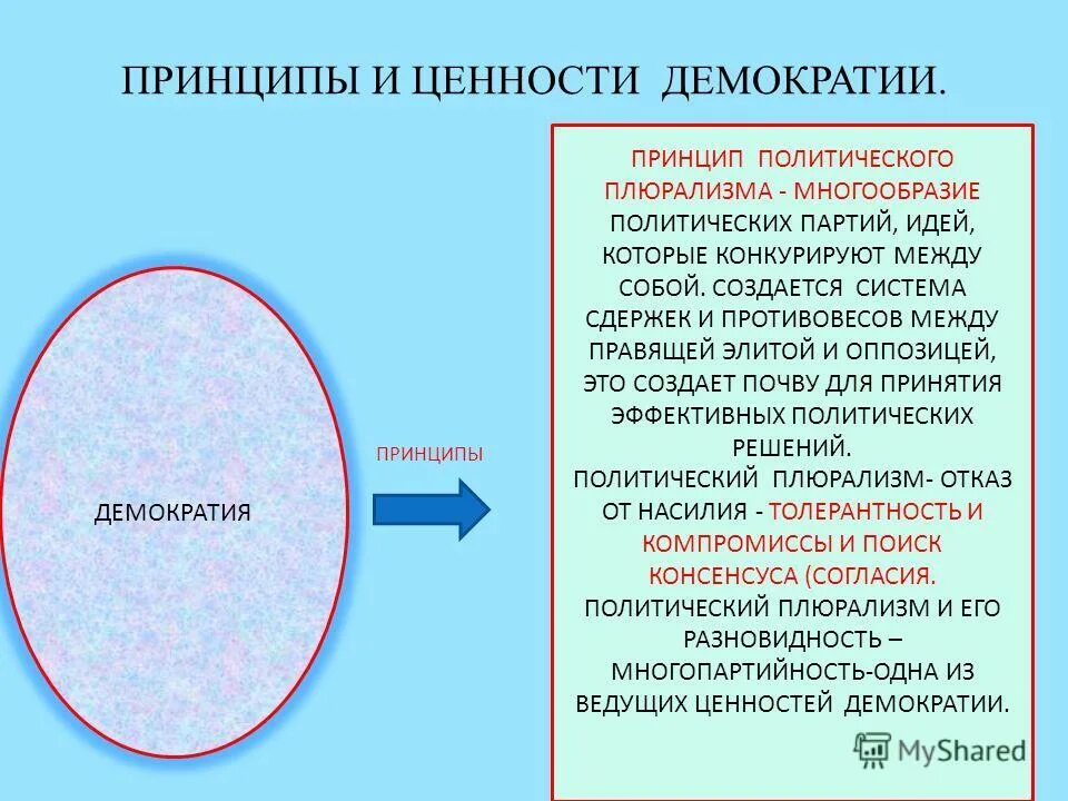 Политическое многообразие признаки. Принципы Демократической партии. Принцип политического многообразия. Принцип политического многообразия плюрализма. Принципы и ценности Демократической политической системы.