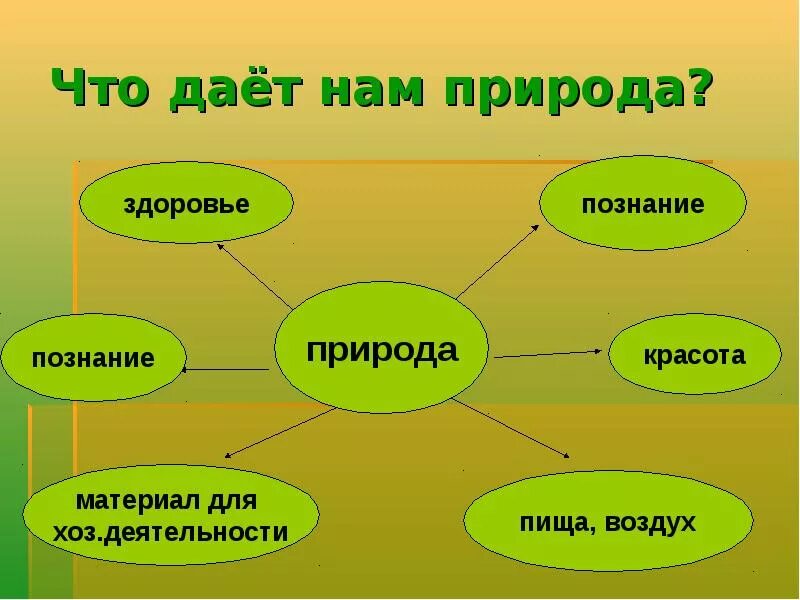 Что дает нам природа. Что дает природа человеку. Проект человек и природа. Проект на тему природа и человек 4 класс. Подготовьте проект по данной теме