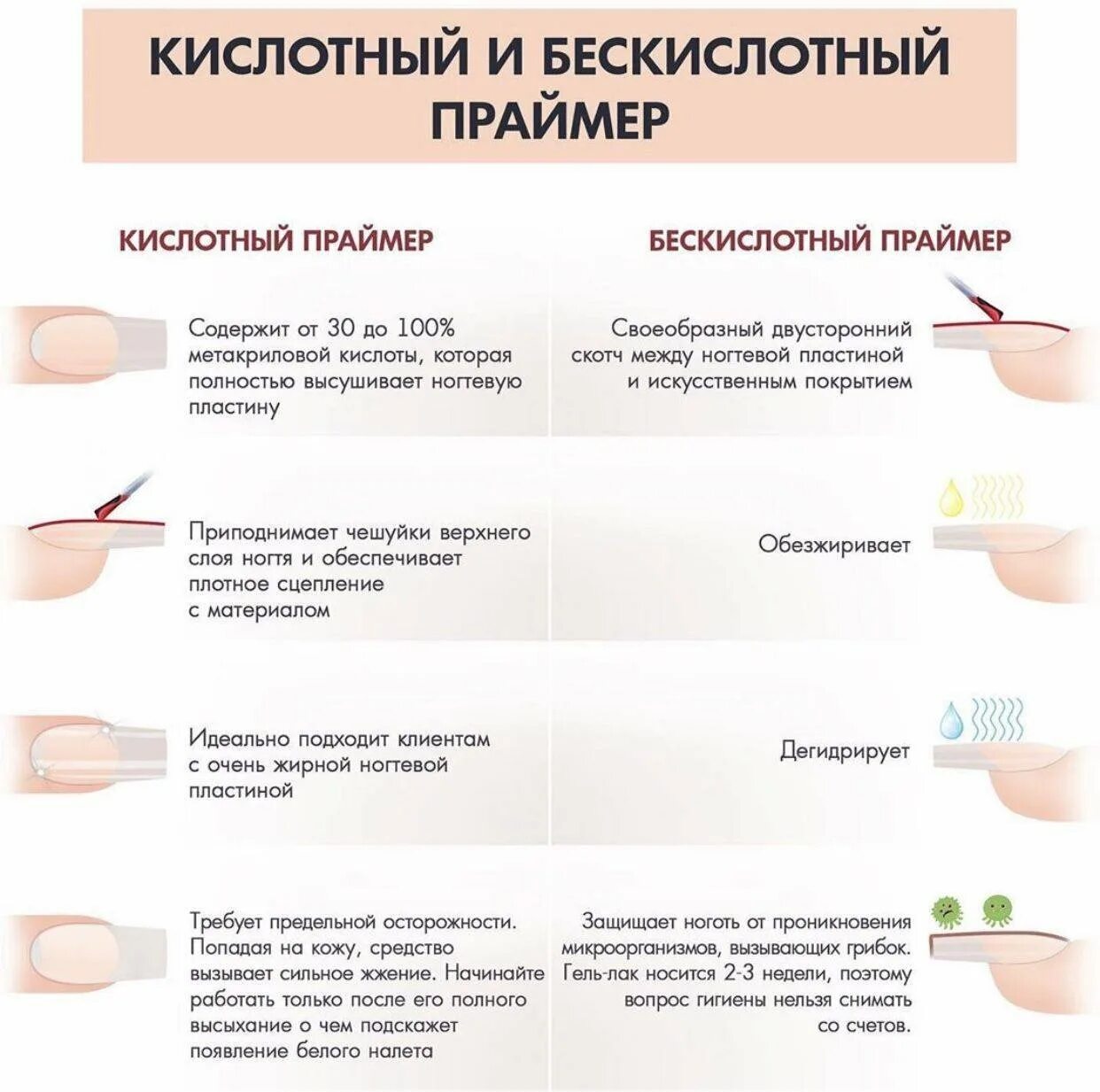 Схема выравнивания ногтевой пластины гелем. Схема укрепления ногтей гелем этапы. Схема выравнивания ногтевой пластины базой. Кислотный и бескислотный праймер разница. После праймера ногти ногти