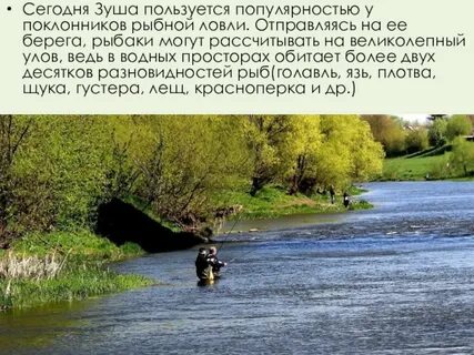 Основание реки