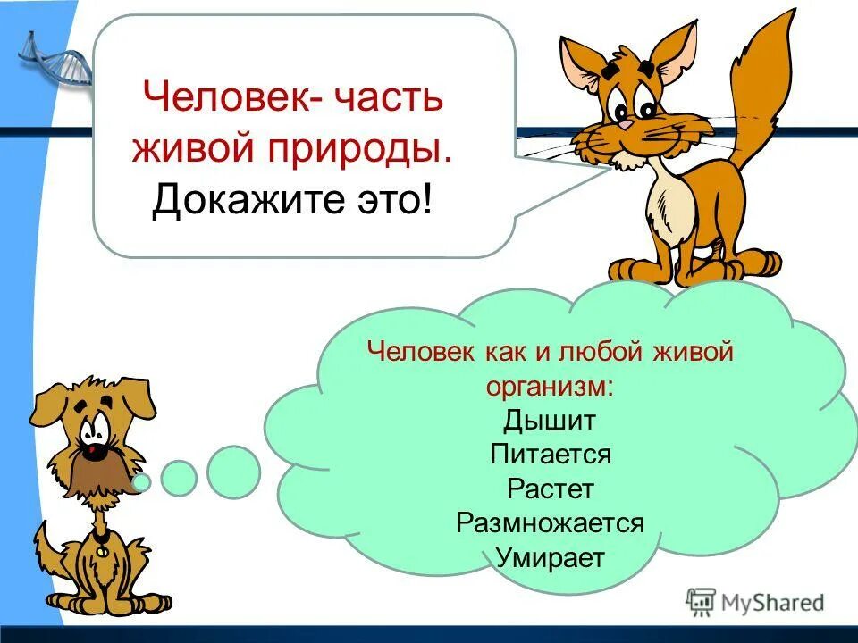 Презентация урока окружающий мир 3 класс. Человек часть живой природы. человек живой организм. человек часть живой природы 3 класс. человек часть живой природы презентация.