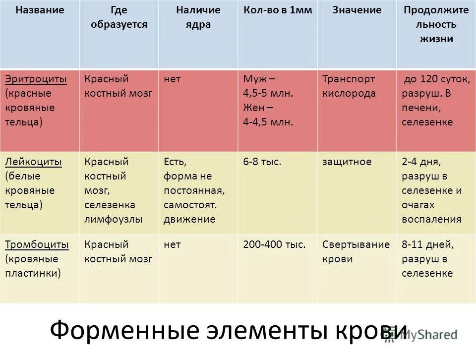 Характеристика клеток эритроциты. Таблица состав крови биология 8 класс. Таблица по биологии 8 класс эритроциты лейкоциты тромбоциты. Форменные элементы лейкоциты лимфоциты. Таблица эритроциты лейкоциты тромбоциты биология.