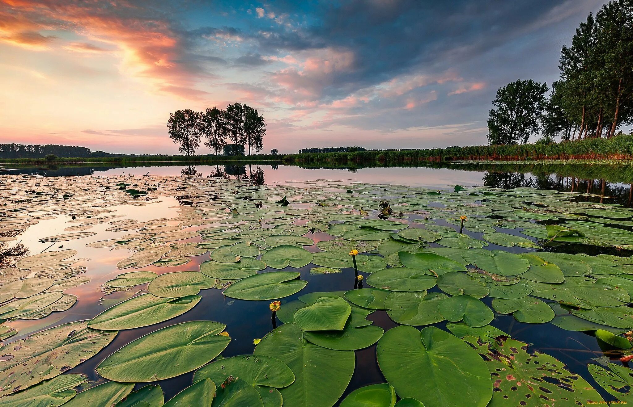 Водная система озер. Озеро Нонг Хан. Озеро Редьярд. Река из озера. Красивая природа.