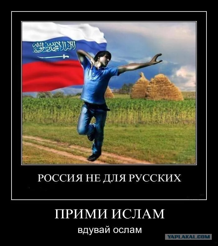 кавказец прикол. русские и кавказцы. юсуп омаров. оскорбить кавказца. кавказцы бесполезная нация.