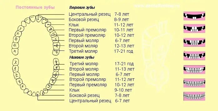 Детское зубное протезирование в Стоматологии № 3
