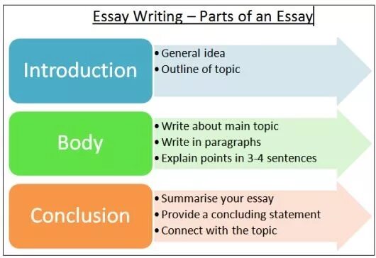 Reading and writing essays