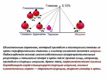 Гормоне форум