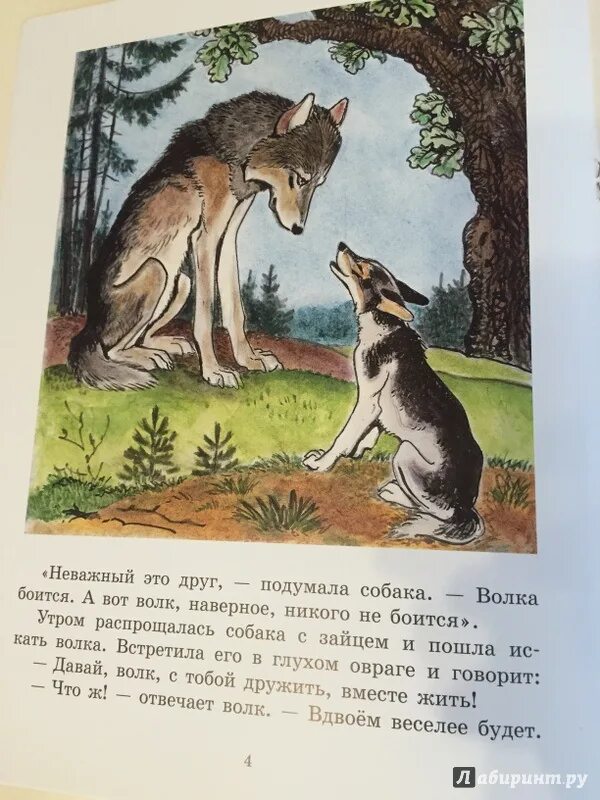 Захотелось собаке друга найти. Как собака друга искала иллюстрации. Мордовская сказка как собака друга искала иллюстрации к сказке. Человек и собака сказка. Мордовская сказка как собака друга искала.