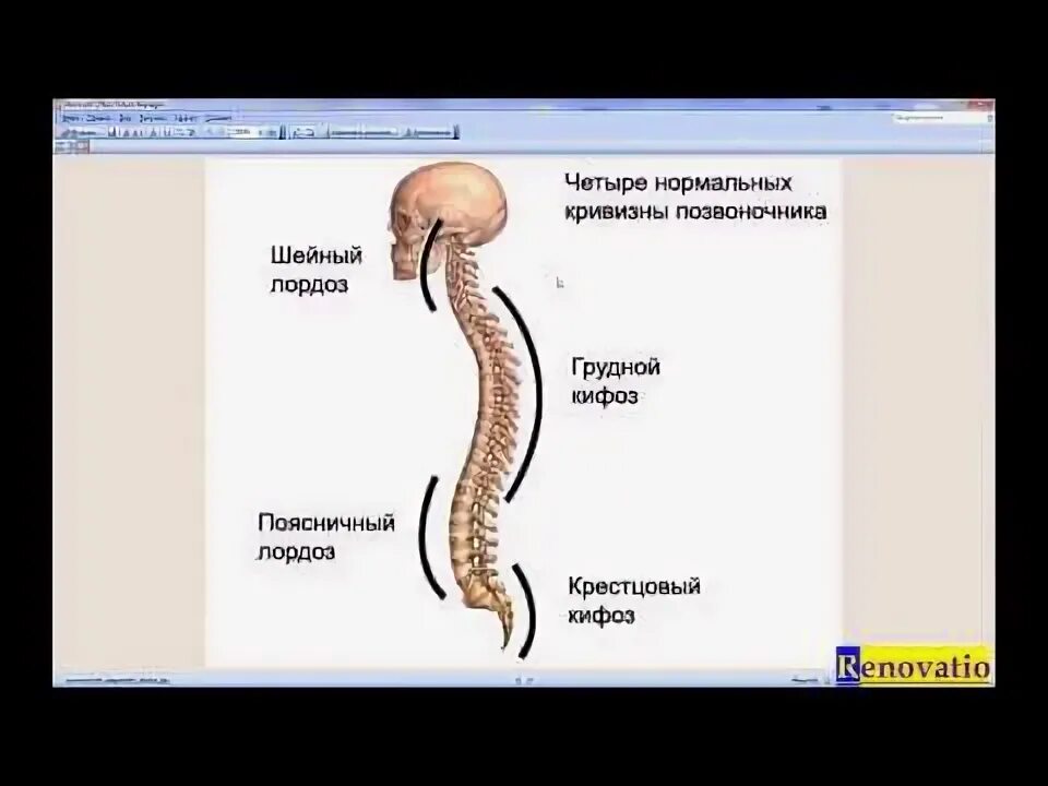 tanita-san: ПОРТАЛ О ЗДОРОВЬЕ ПОЗВОНОЧНИКА - КЛУБ МАСТЕРИЦ - Медиаплатформа МирТ