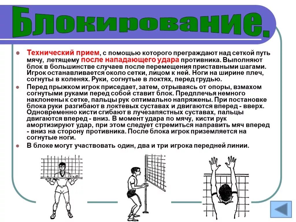 Блокирование мяча в волейболе. Блокирование в волейболе. Техника блокирования в волейболе. Блок в волейболе техника.