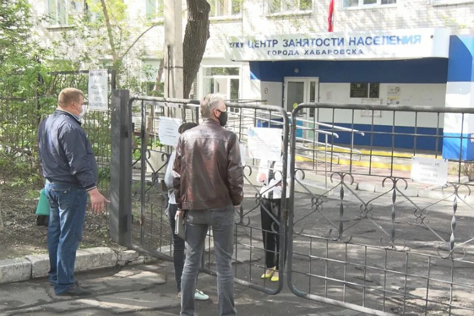 центр занятости хабаровск. молодые специалисты. золотая вакансия. витринные постеры мфц росреестр. центр занятости населения хабаровск 2022.