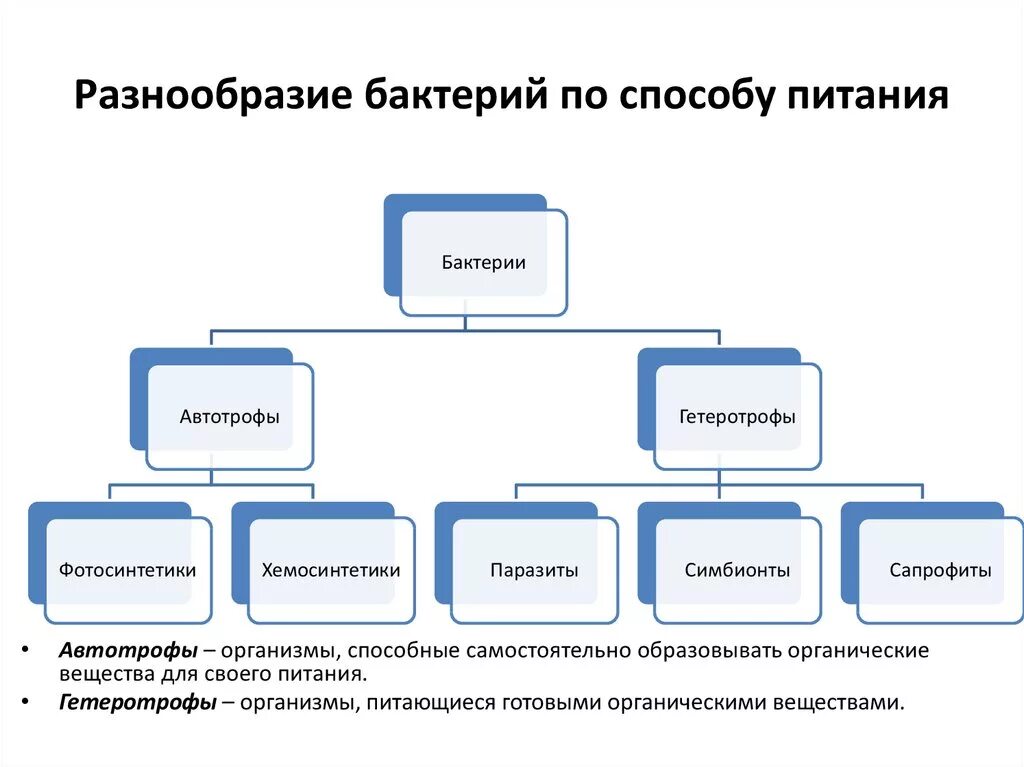 Какие различают бактерии по способу питания кратко. Схема питания бактерий с примерами. Способ питания бактерий таблица. Бактерии по способу питания схема. Способы питания бактерий схема 5 класс биология.