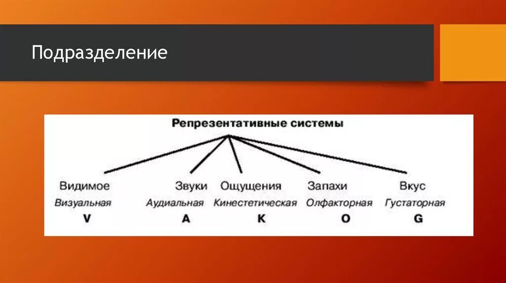 Репрезентативные системы восприятия. Репрезентативная система. Репрезентативные системы в психологии. Репрезентативная система собеседника это. Типы репрезентативных систем.