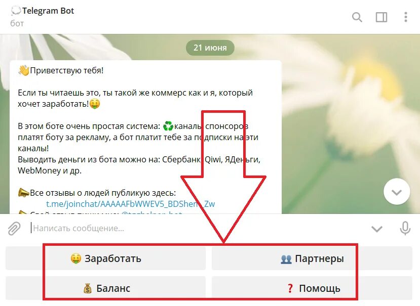 Нужные боты в телеграмме. Бот с деньгами телеграмм. Наш бот в телеграмме. Кликер бот в телеграмм заработок. Тг бот для дз